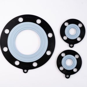 Gioăng TOMBO No.9013 EPDM/PTFE EBILON