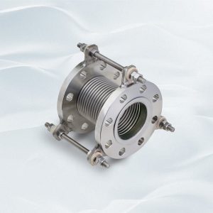 Khớp Nối Thép Không Gỉ Zenshin - Ảnh 9